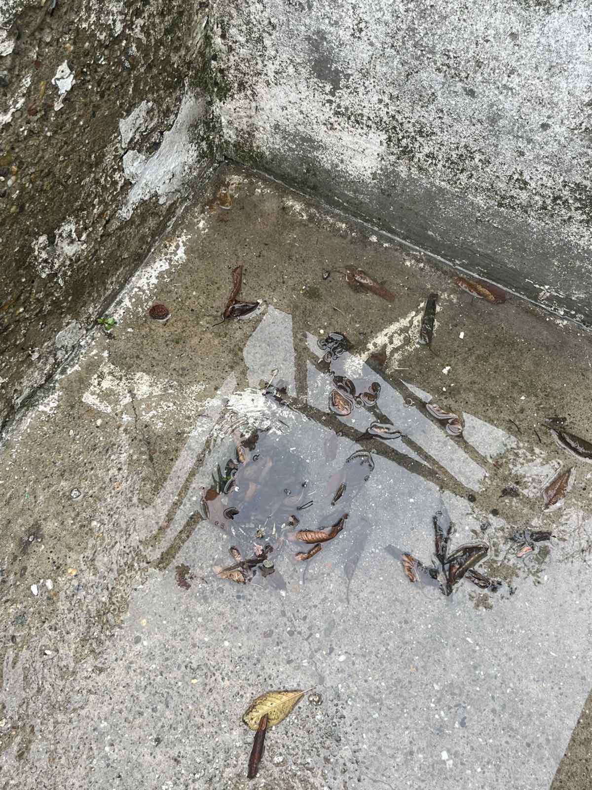 Odgušenje spoljne podne rešetke